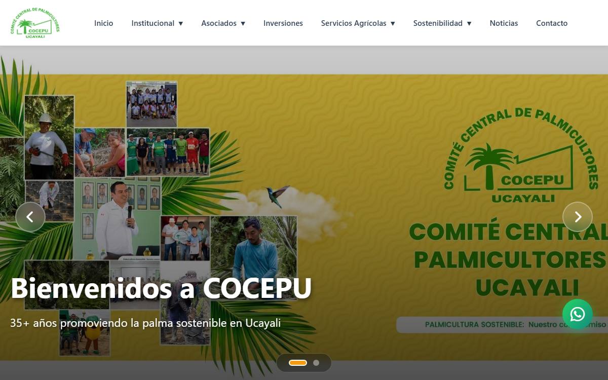 Diseño de página web profesional en Lima para cocepu