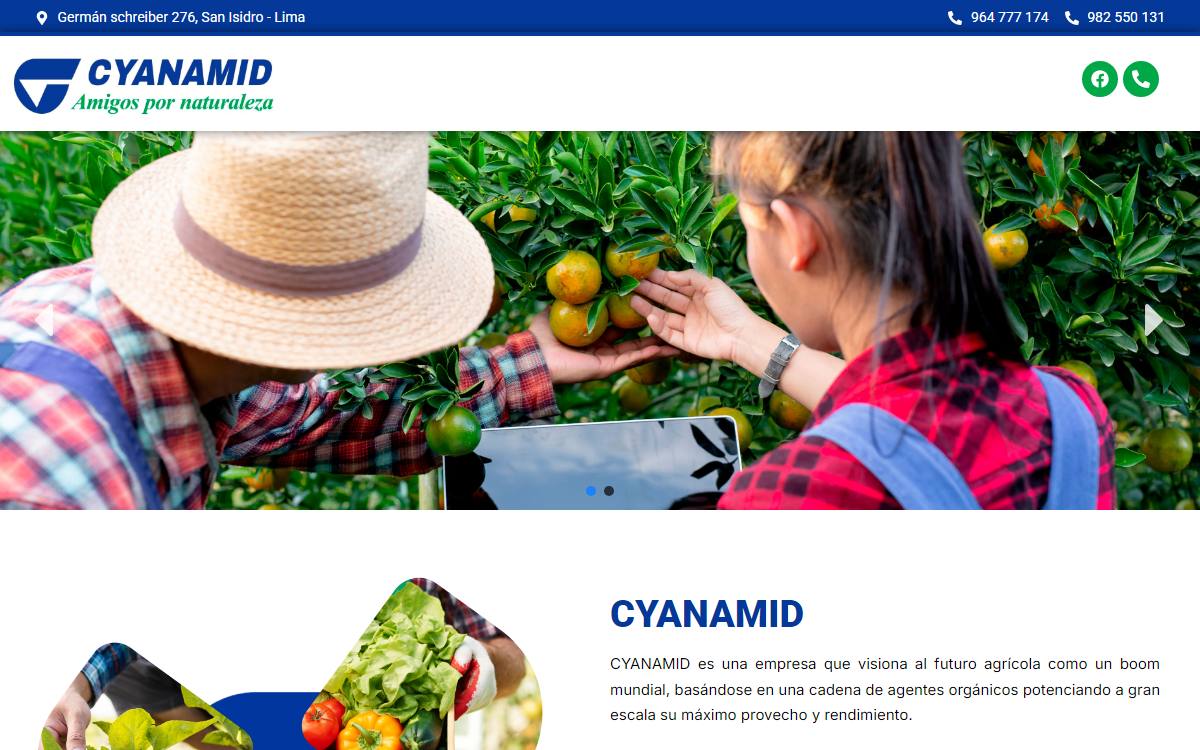 Diseño de página web profesional en Lima para cyanamid