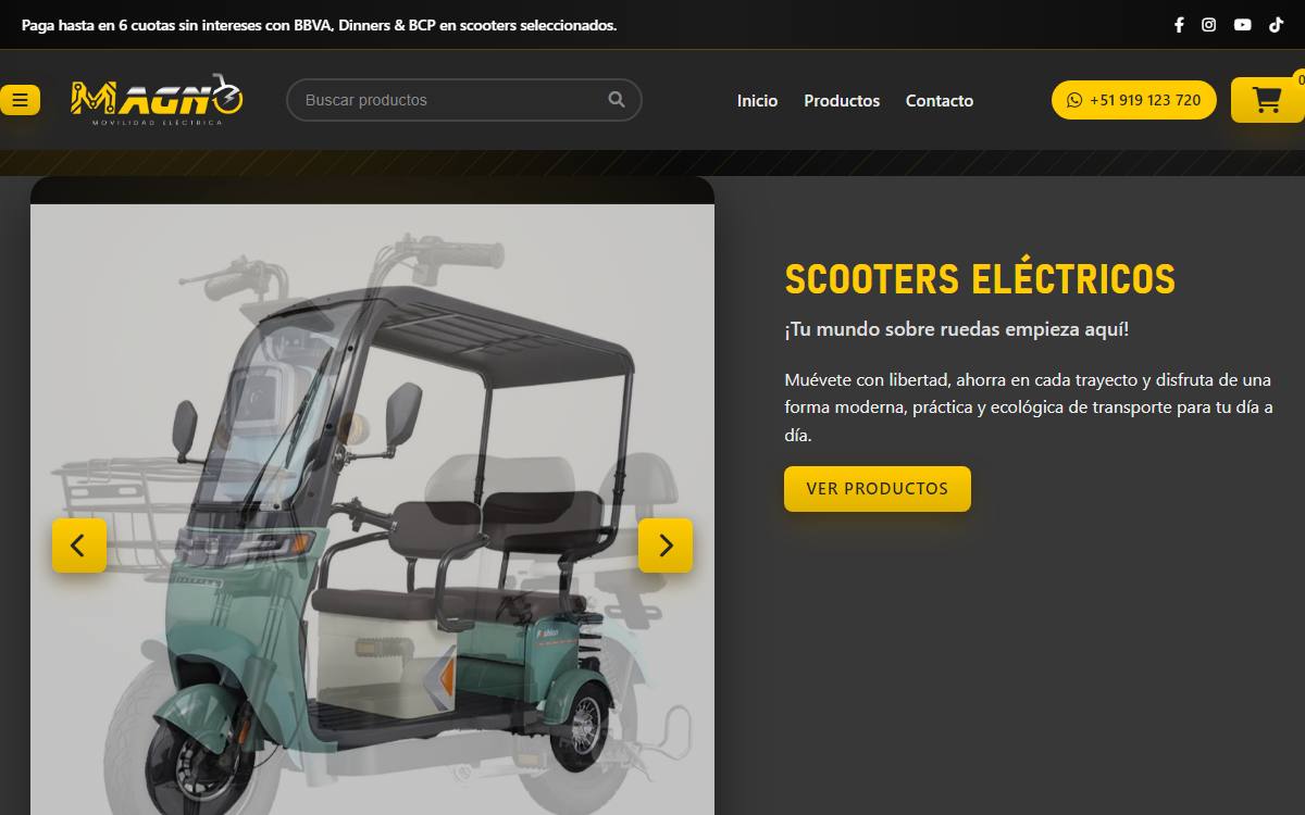 Diseño de página web profesional en Lima para magnoperu