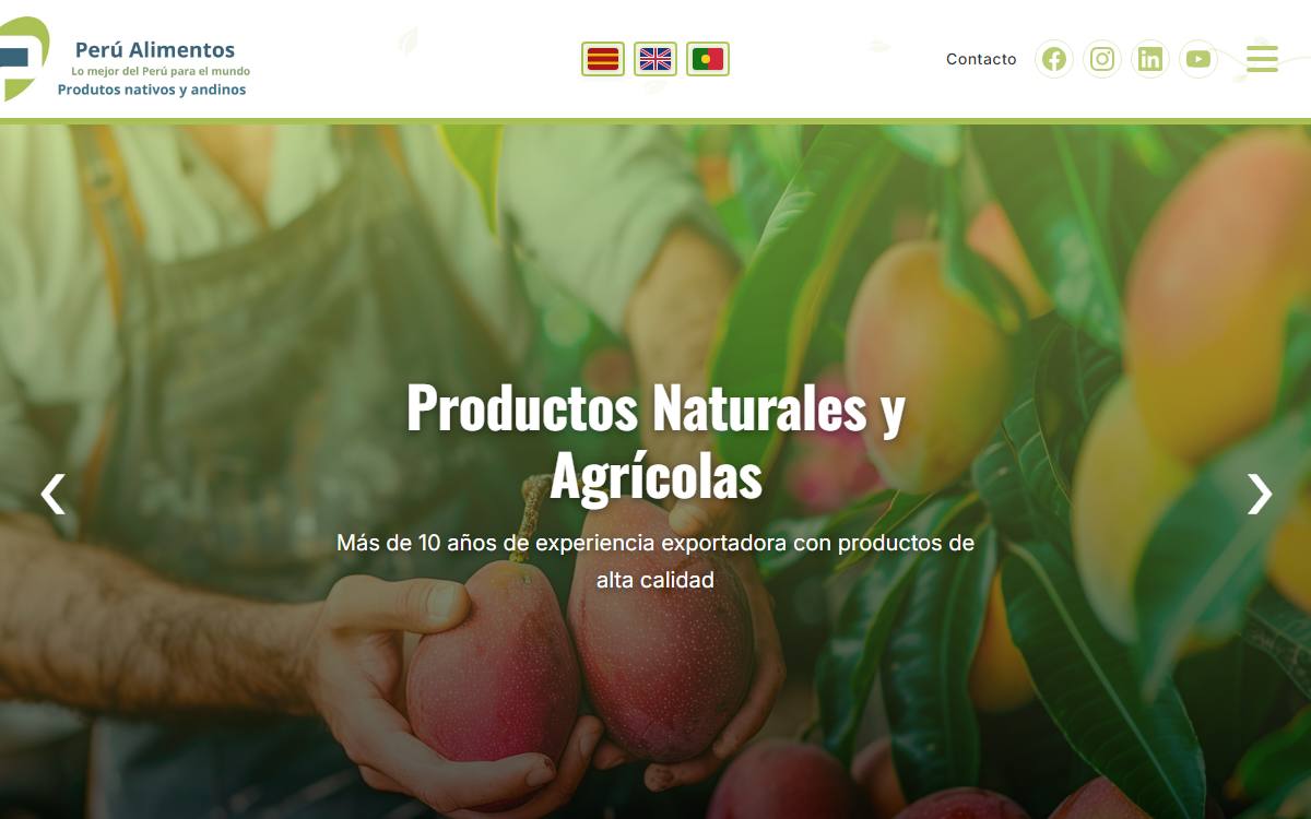 Diseño de página web profesional en Lima para peru alimentos
