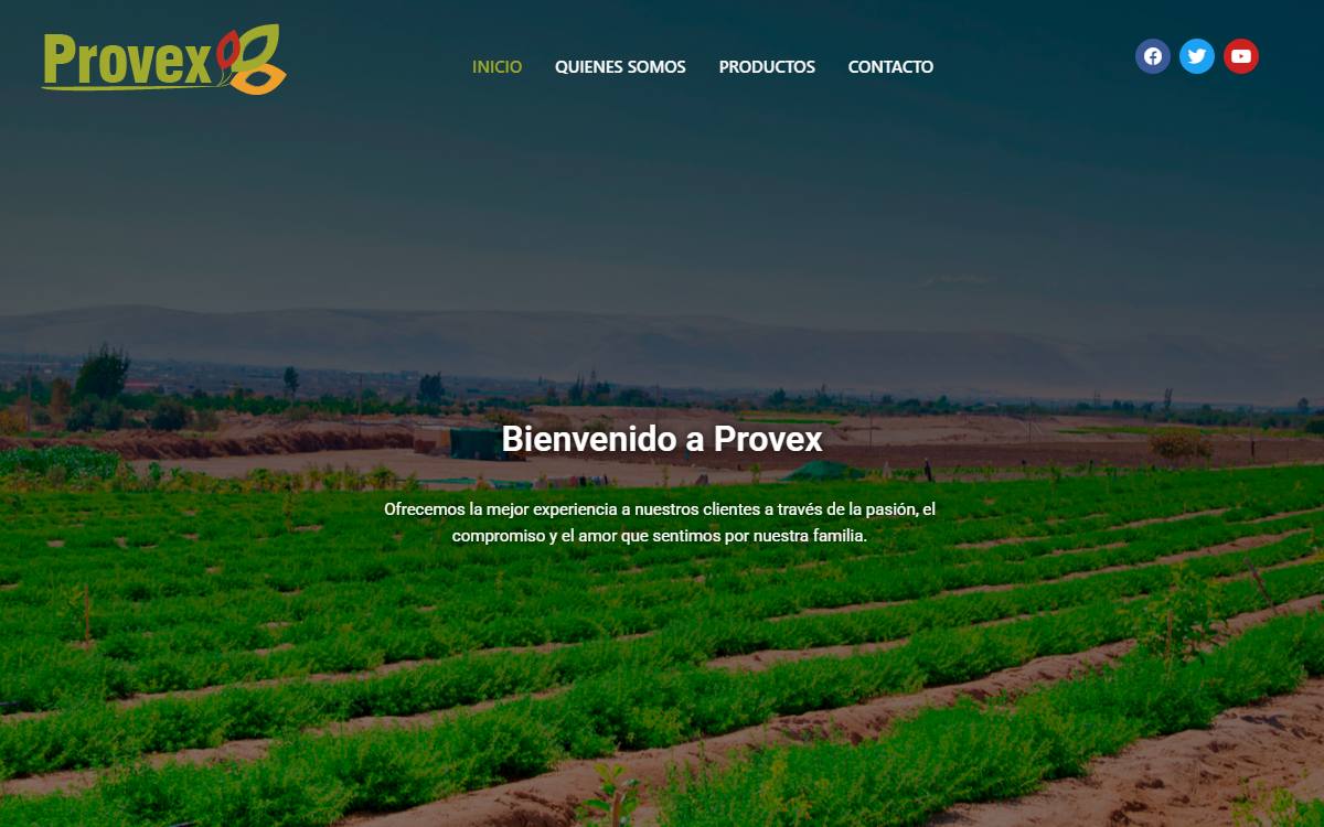 Diseño de página web profesional en Lima para provex peru