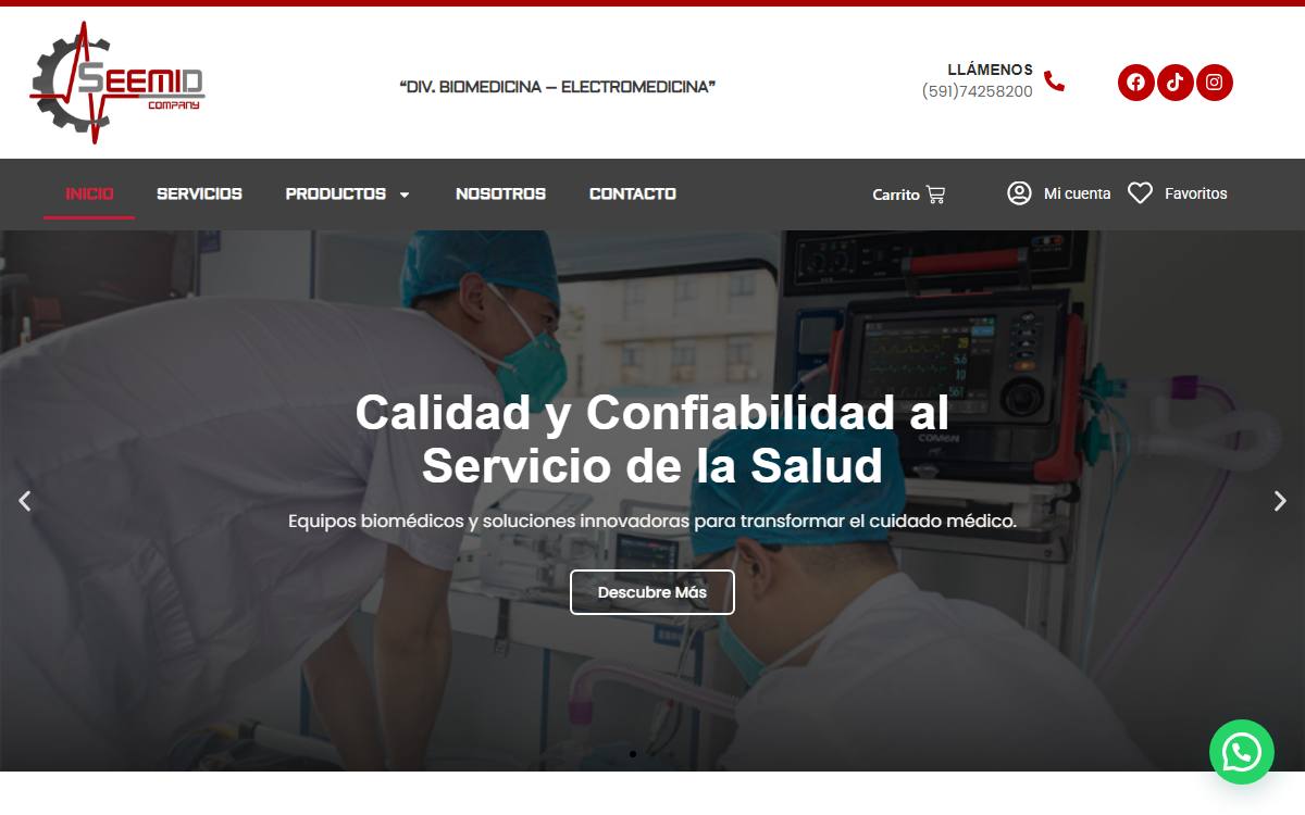 Diseño de página web profesional en Lima para seemid