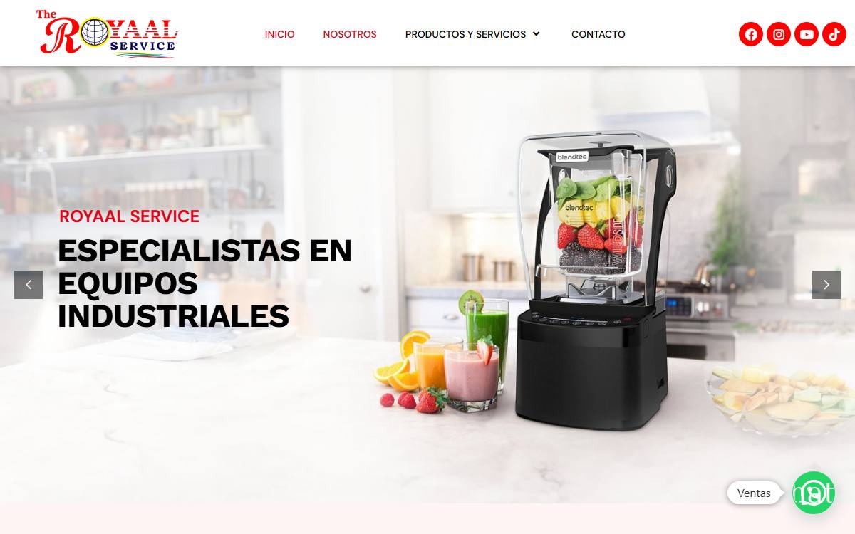 Diseño de página web profesional en Lima para the roya als service